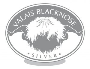 Logo VBS MEMBERSHIP SILVER