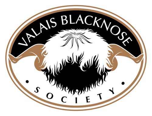 Welcome to the Valais Blacknose Society