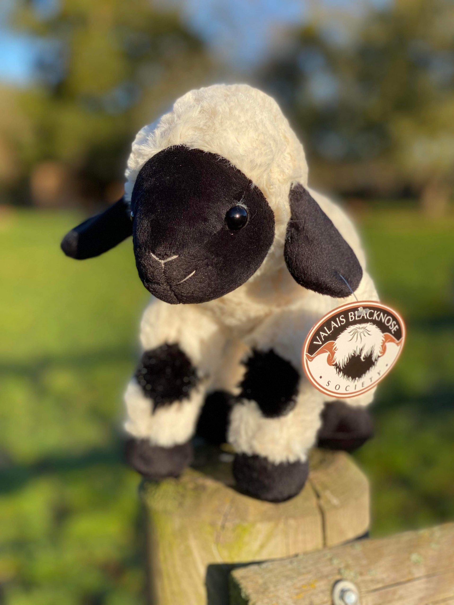 Valais Blacknose Lamb Plush Toy – valaisblacknosesociety