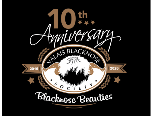 Blacknose Beauties at 10: Reflections from the Early Days