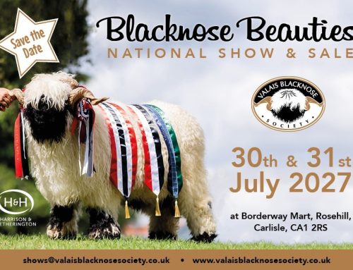 Blacknose Beauties 2027 | Save the Date